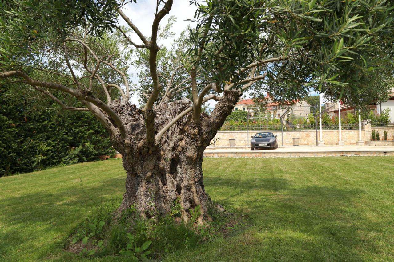 Villa Carolus-Luxurious Istrian Villa Barat  Exterior photo
